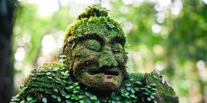 苔に覆われた屋久島にある益救神社の仁王像