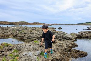 屋久島 安房の春田浜海水浴場の磯で生き物探し