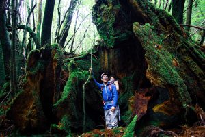 屋久島 小杉谷でトレッキングをする親子