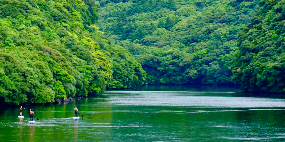 屋久島の川のアクティビティの魅力の画像