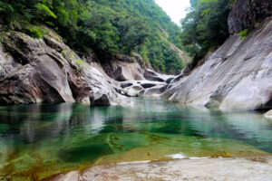 安房川上流