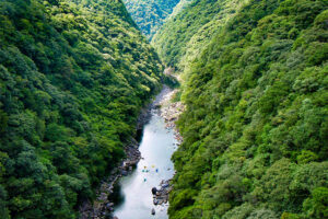 安房川1