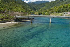 屋久島のリバーカヤックポイント宮之浦川