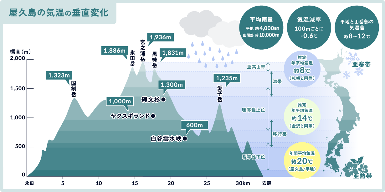 屋久島の気温の垂直変化図