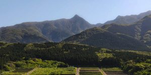 愛子岳トレッキング