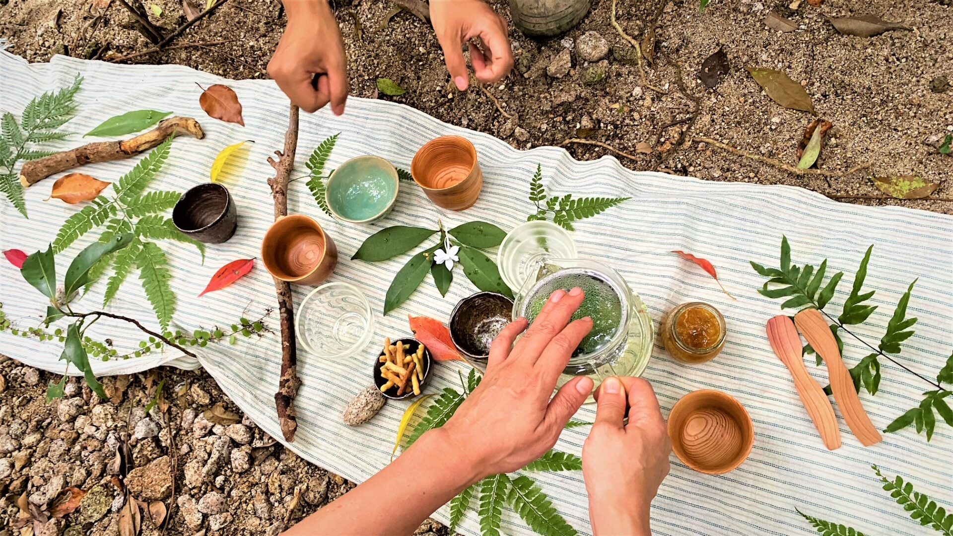 体験・アクティビティ写真02