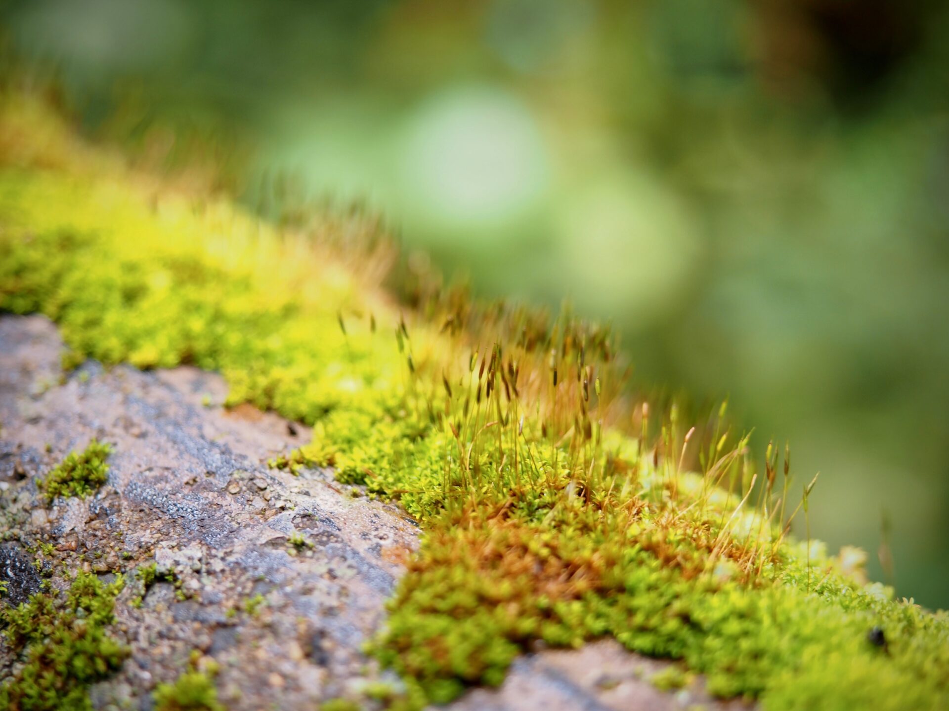 体験・アクティビティ写真04