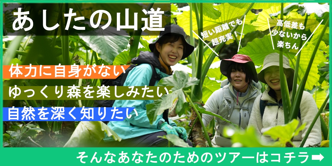 ​屋久島ガイドツアー 【特集】失敗しないガイド探し あなたは混載派？それとも貸切派？島内20社以上の料金を調査！ツアー料金の相場も紹介！