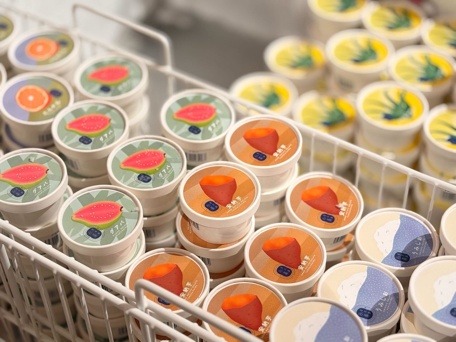 スポット写真05