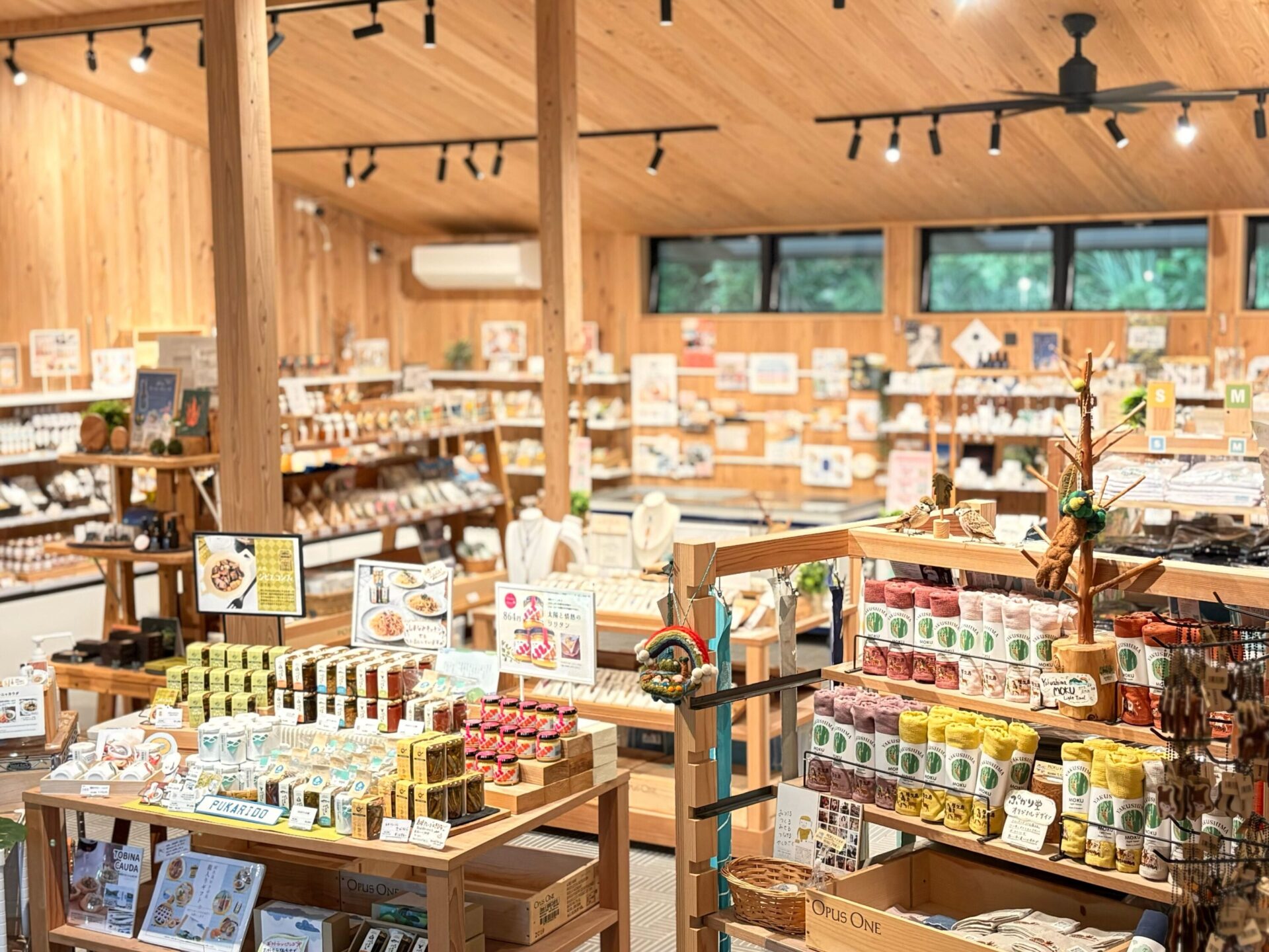 スポット写真02