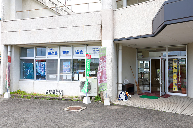 屋久島観光協会 安房案内所