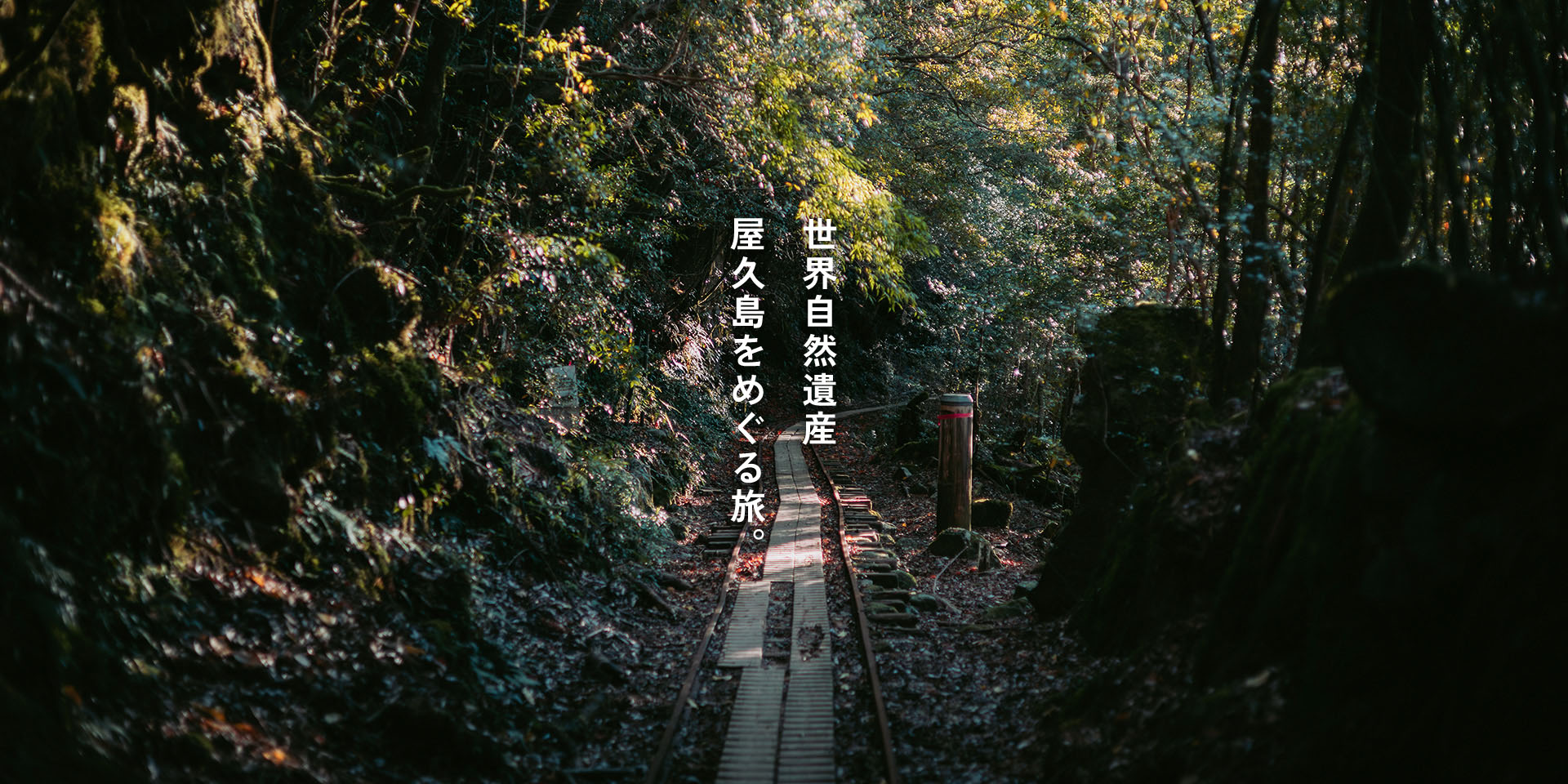 世界自然遺産 屋久島をめぐる旅。